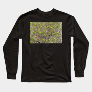 Outdoorsman, Spring Time Buds, Nature Photography Long Sleeve T-Shirt